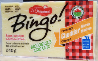 Bingo Cheese - Medium (La Chaudiere)